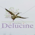 delucine-9399