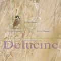 delucine-9523