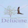 delucine-4368