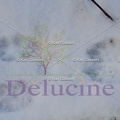delucine-IMG 4188