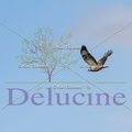 delucine-IMG 7603