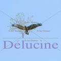 delucine-IMG 9193