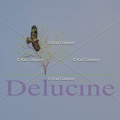 delucine-IMG 9992