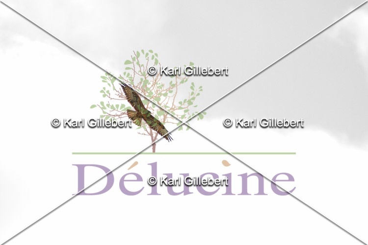 delucine-IMG 0162