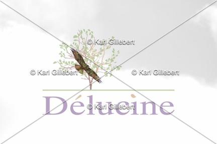 delucine-IMG 0162