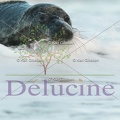 delucine-IMG 3241