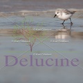 delucine-IMG 4400