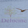 delucine-IMG 3075