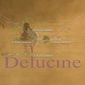 delucine-IMG 7698