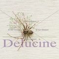 delucine-IMG 6150