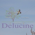 delucine-IMG 2574