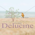 delucine-IMG 5641