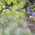 delucine-IMG 4551