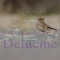 delucine-IMG 4754