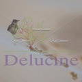 delucine-IMG 3521