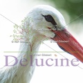 delucine-IMG 5290