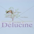 delucine-IMG 4623