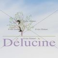 delucine-IMG 4968
