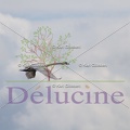 delucine-IMG 0785