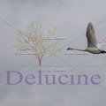 delucine-IMG 0811