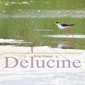 delucine-IMG 9546