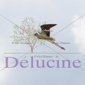 delucine-IMG 9767