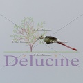 delucine-IMG 9795