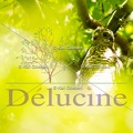 delucine-IMG 8024