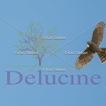 delucine-IMG 5759