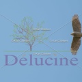delucine-IMG 5761