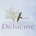 delucine-IMG 8500