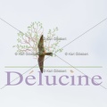 delucine-IMG 8502