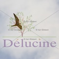 delucine-IMG 0030