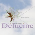 delucine-IMG 0031