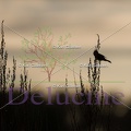 delucine-IMG 7490