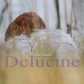 delucine-IMG 2121
