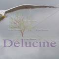delucine-IMG 3492