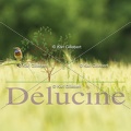 delucine-IMG 3436