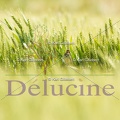 delucine-IMG 3450
