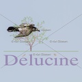 delucine-IMG 6019