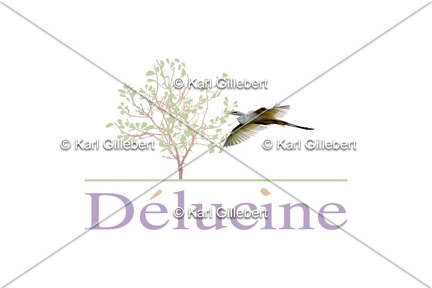delucine-IMG 2466
