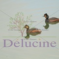 delucine-IMG 6690