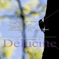 delucine-IMG 0498