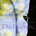 delucine-IMG 0500