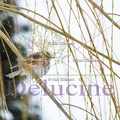delucine-IMG 9173