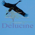 delucine-IMG 4472