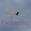 delucine-IMG 4601