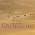 delucine-IMG 1742