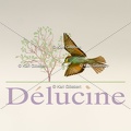 delucine-IMG 2840