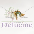 delucine-IMG 2883